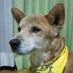 rJpfL9J2jo81806's profile picture. 