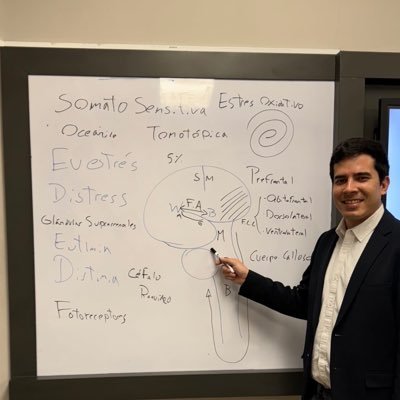 rafaelmartinez8's profile picture. Médico. Estudiante de Ph.D. Autor del libro “El Cerebro que Aprende” . Escribiendo mi 2do libro “Los Misterios de la Conciencia y el Cerebro”