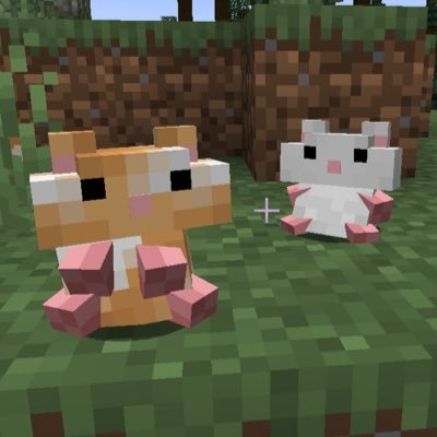 hamstersFur's profile picture. 웹개발자 . 백엔드로 이직 준비중 . 구독합니다