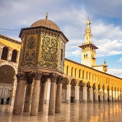 saleem97137249's profile picture. 