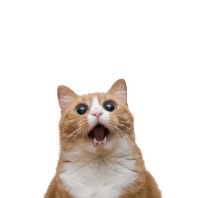 woodcraftod's profile picture. 