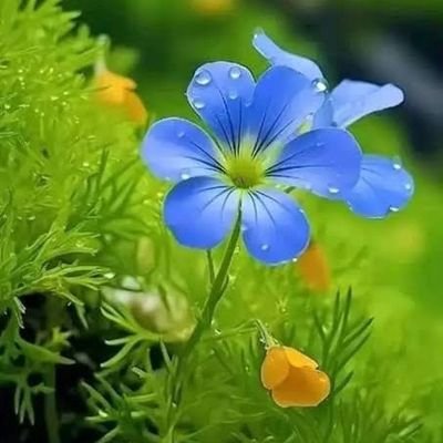 santona990's profile picture. 