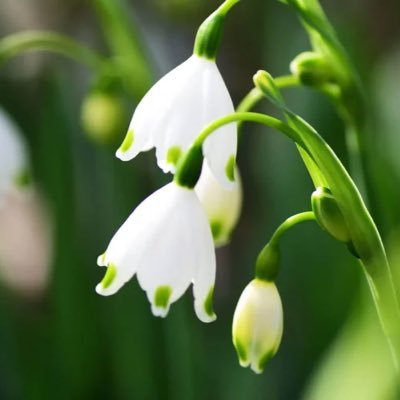 Nv3eSgAhKX68886's profile picture. 「あなたの　を望みます」