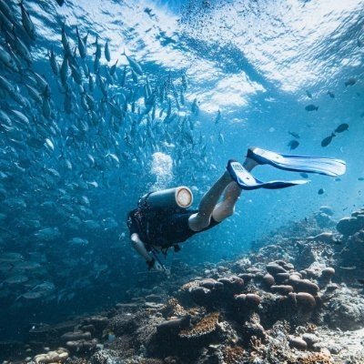 Isabella17725's profile picture. 🇺🇸🇺🇸🇺🇸If you don’t put in the effort, the only good news you’ll hear will be about other people