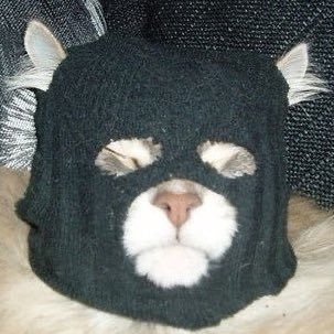 pressed_steel's profile picture. all homemade and easy to kill