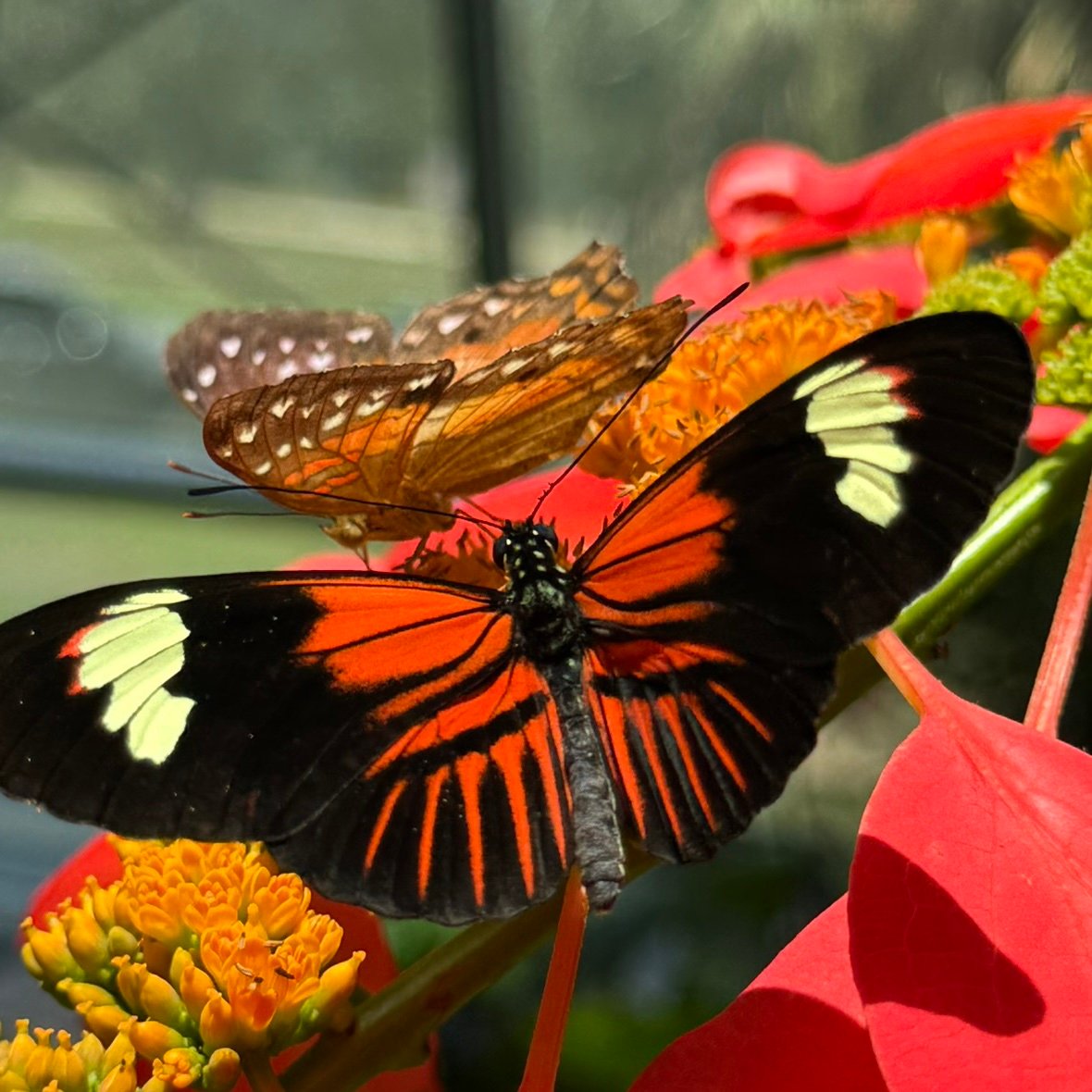 AGspeakz's profile picture. 