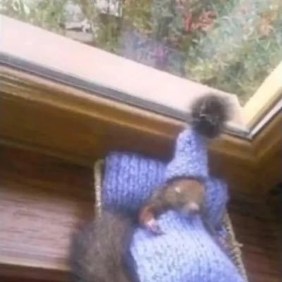 Sakowsk1Michael's profile picture. yay