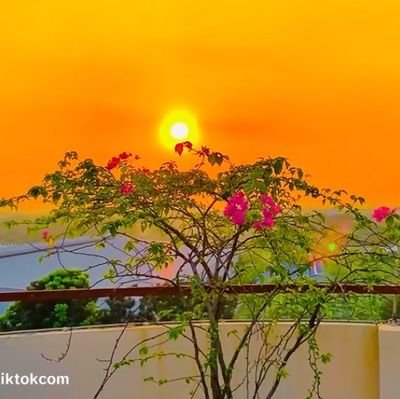 quinnsulli54287's profile picture. 