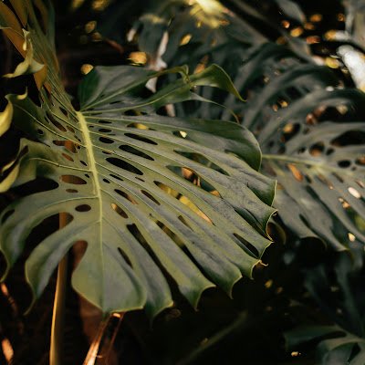 AnKiet05's profile picture. 