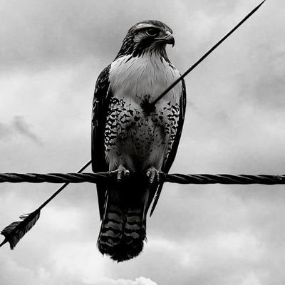 worldordeX's profile picture. Global headlines 🚨  Geopolitics 🌍 Conflict monitor 🚀
I post the news before it hits your TV 📺 + replying with unfiltered truth 🕵️