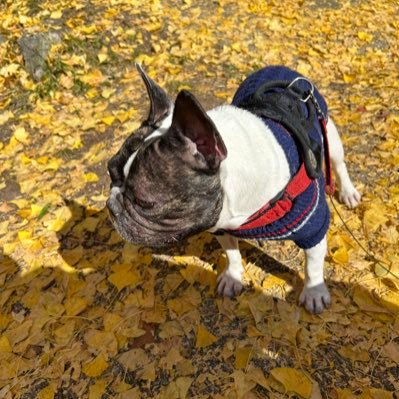 se1CnNVrv7P9Quz's profile picture. 遠出して楽しんでました😊