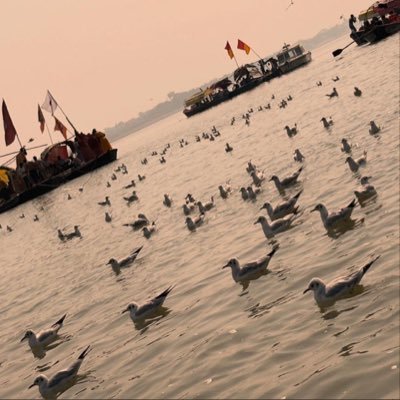 Raj_Speaks_'s profile picture. Little bit Witty. || Cricket || Politics