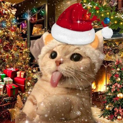 its_enitine's profile picture. mikbrent or no one. ♡