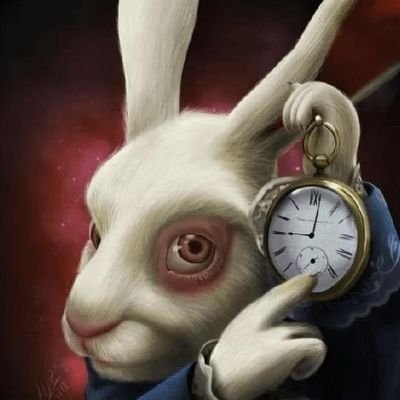 LedionSali82776's profile picture. 