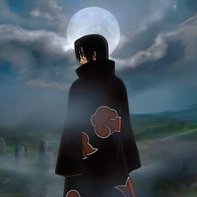 Arthur255221's profile picture. 