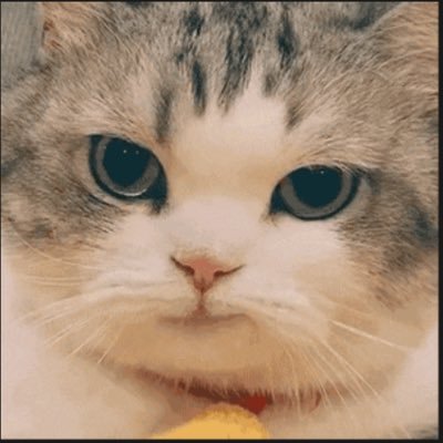 Vinson1101's profile picture. 重启X|个人投资者|AI&Web3爱好者|曼联球迷
X Restarter • Investor • AI/Web3 • MUFC