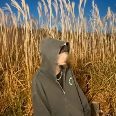 ro___bi_'s profile picture. 03 邦ロック/メイク︎︎︎ ︎︎︎︎︎︎ ︎︎︎︎︎︎ ︎︎︎︎︎︎ ︎︎︎︎︎︎ ︎︎︎︎︎︎ ︎︎︎︎︎ 食べるのが生きがい