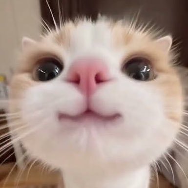 reidsecretwife's profile picture. she/her, 19