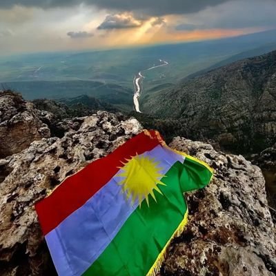 amedli_196042's profile picture. 