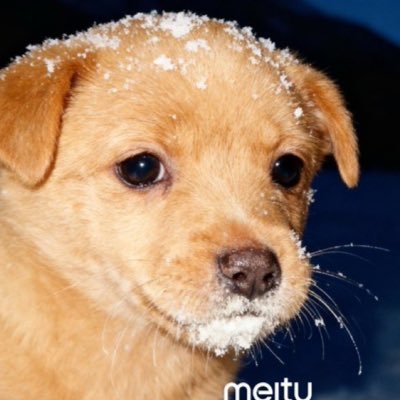 byeok99999's profile picture. 서마터폰중독이다 니