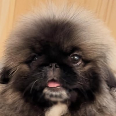 pppan_n's profile picture. 