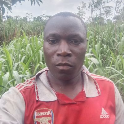 katumbahassan27's profile picture. 