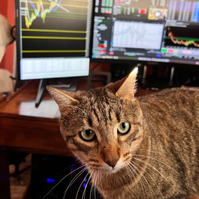 LeoTradesX's profile picture. Trader intradía | Nasdaq & equities.