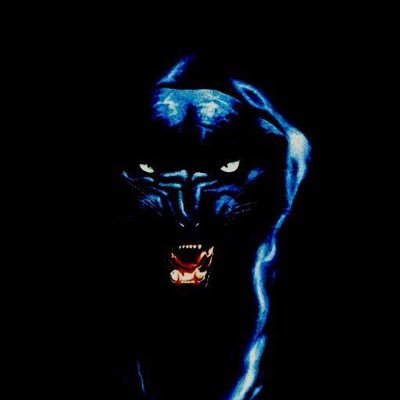 Bover999's profile picture. 21. Day trader