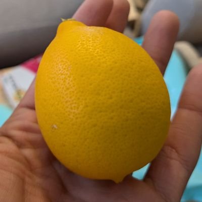 rinrindoradora1's profile picture. 