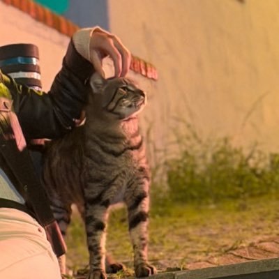 x1999u's profile picture. 