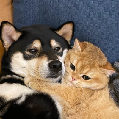 linlin_ouo's profile picture. You are like the treasure I found on earth.✨💝