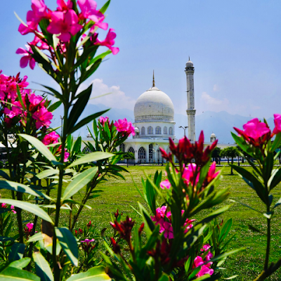 PeopleFirstNow's profile picture. 