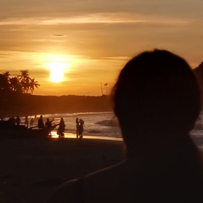 lauredco59's profile picture. 