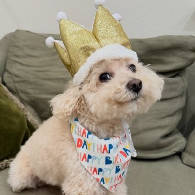 boorin_mm's profile picture. Cassiopeia♥2007⭐//IGOT7💚2015🐥//Tuanzy💜2022 //พื้นที่แห่งนี้มีไว้หวีดเมน//We can’t satisfy everyone//work life balance //Fan account