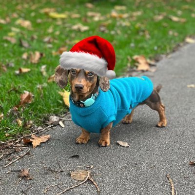 suds95's profile picture. 