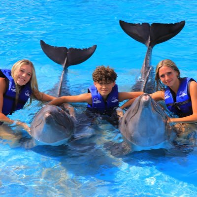 Walls98's profile picture. Thoroughbred Race Horse Owner. University of Alabama grad. Roll Tide!