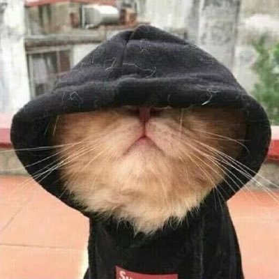 refugeeonearth3's profile picture. 