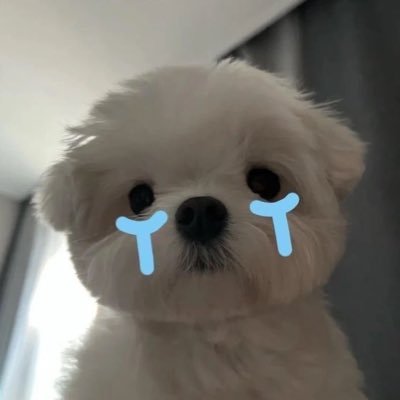 xxlei94's profile picture. 🦋🌻