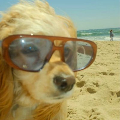 jerimovichie's profile picture. 💥📣 definitely maybe