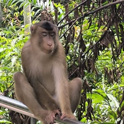 Mike1771876's profile picture. University of Hard Knocks 🎓 | Certified conspiracy boss 🛸 | Might be an alien flexin’ on humans 👽💪 | Pronouns: they/lied