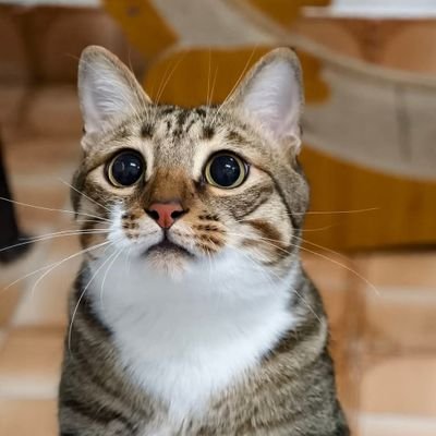 ke_er83560's profile picture. 