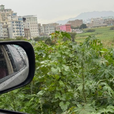 abn122al's profile picture. 