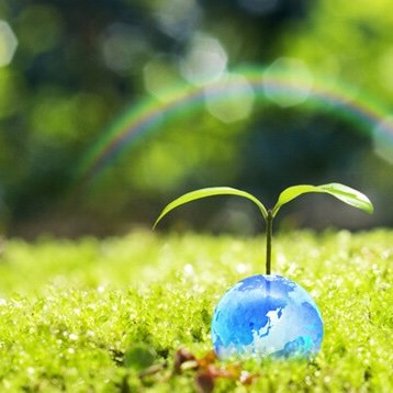 RuPbFDevSU69793's profile picture. 