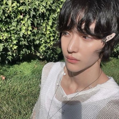 sujibloom's profile picture. you’re a star for me to look at