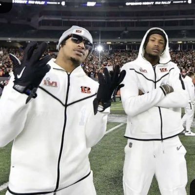 WhereTheyStay's profile picture. 