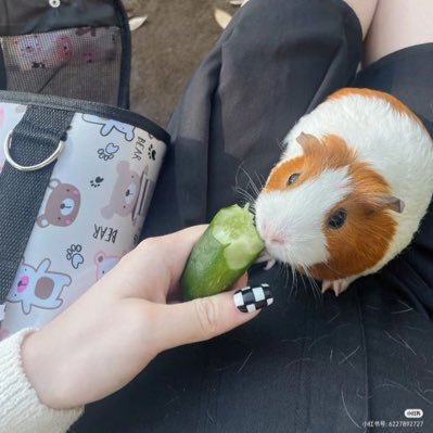 Alianagran78784's profile picture. My life my rules