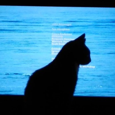 nyxW_'s profile picture. Working on many games

dc; darkenedtrace