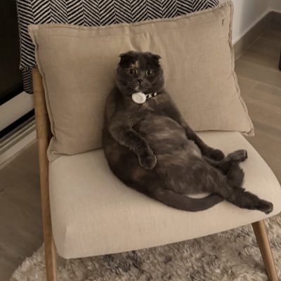 laadyree's profile picture. 