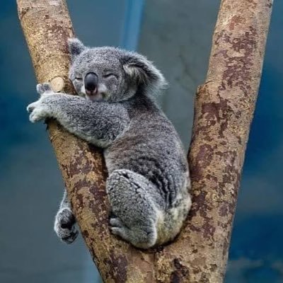 akkajung's profile picture. หามิตรภาพ หาเพื่อน โพสเรื่อยเปื่อย