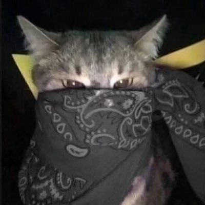 squirtguzzlerr's profile picture. 24|yearner/shitposter/gymposting|MDNI